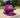 Eight One New Era Purple Exploding Dome