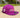 Eight One New Era Purple Exploding Dome