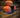 Eight One New Era Astros Songbird Blue Rust