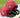 Eight One New Era Astros Brick Swinging Orbit