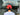 Champion Script Twill Strapback