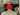 Champion Script Snapback